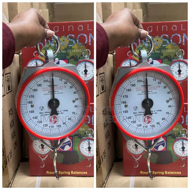 Hanson 200kg Scale With Hooks - main view