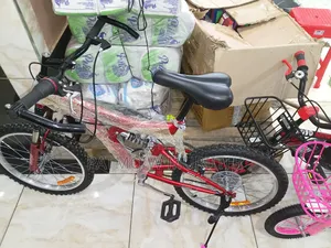 Heavy Duty Bike Size 20 With Gear