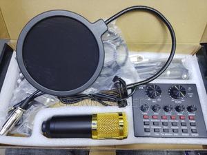 Bm800 Professional Condenser Microphone With V8 Audio Interface - main view