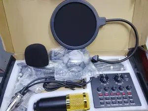 Bm800 Professional Condenser Microphone With V8 Audio Interface