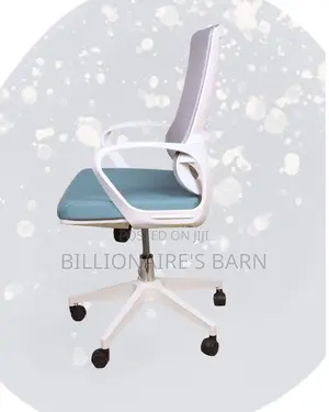 Executive Office — White Orthopedic | Top Seller in Kenya
