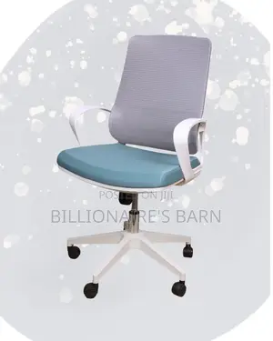 Executive Office — White Orthopedic | Top Seller in Kenya