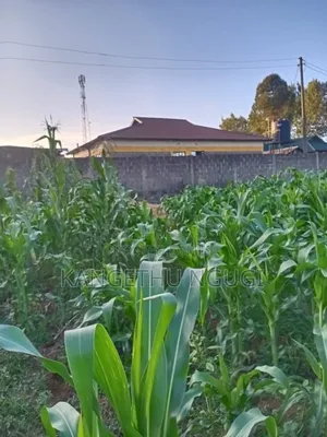 Quarter Acre Plot Kambaa Githunguri