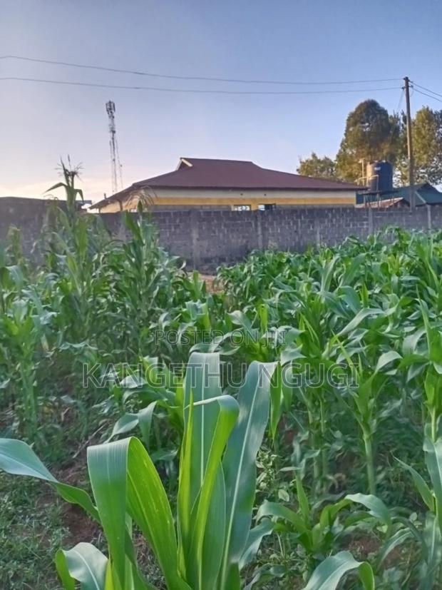 Quarter Acre Plot Kambaa Githunguri