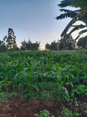Quarter Acre Plot Kambaa Githunguri