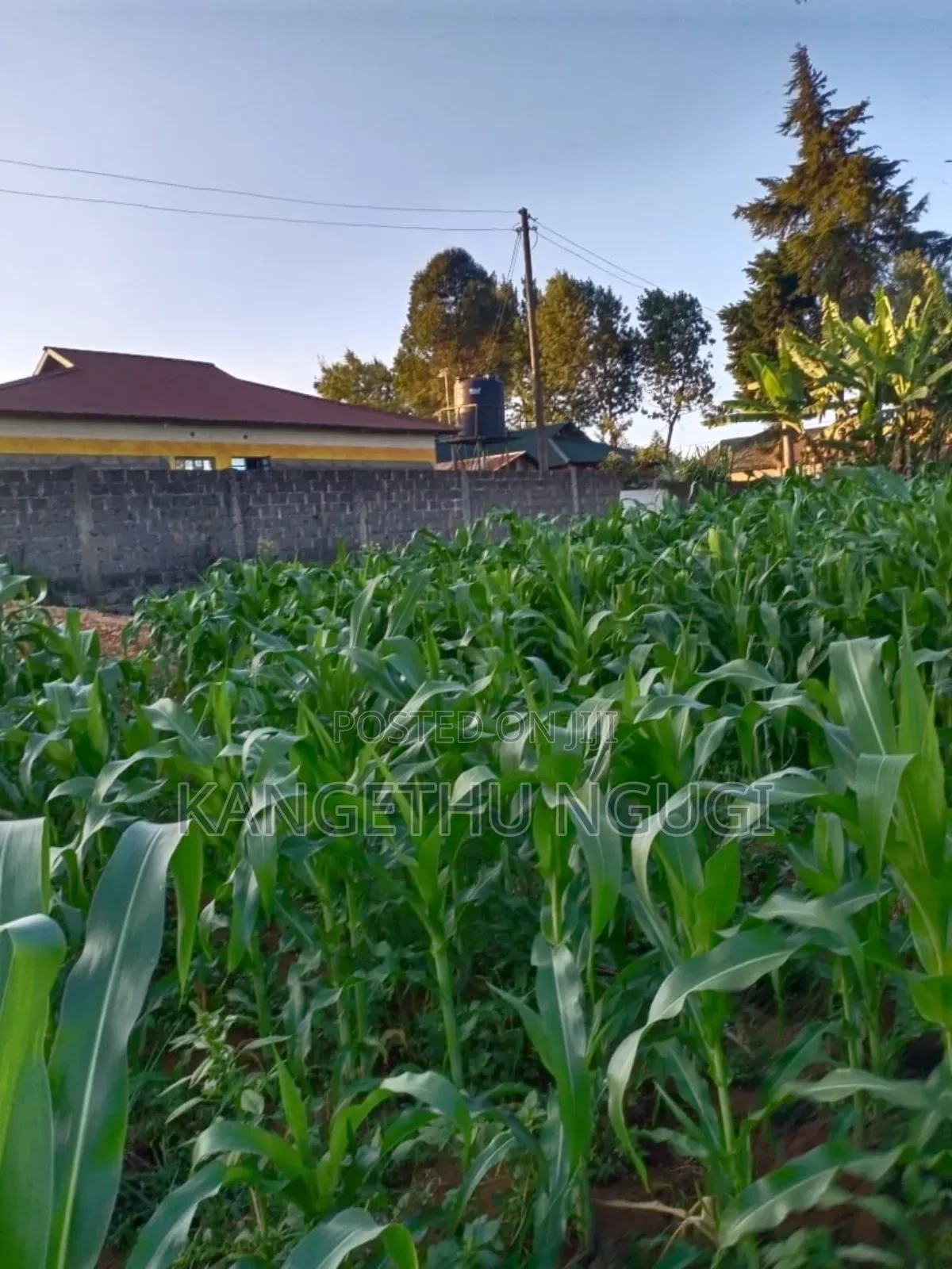 Quarter Acre Plot Kambaa Githunguri