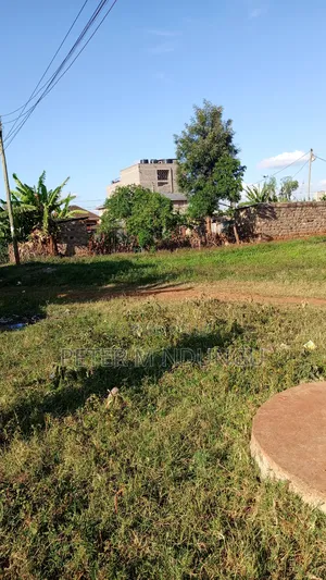 Marurui-Thome Serviced Commercial Plot 40*80