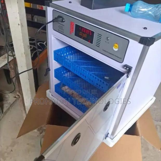 204 Ac/Dc Eggs Incubator
