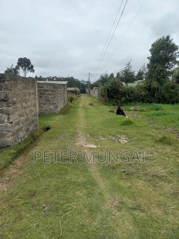 Plot 50 by 100 for Sale - main view