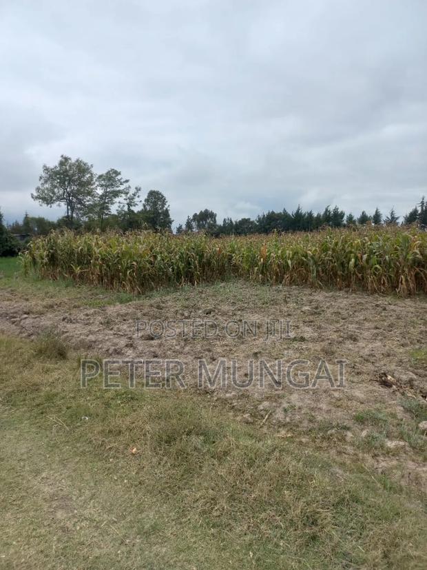 Plot 50 by 100 for Sale - thumbnail 3