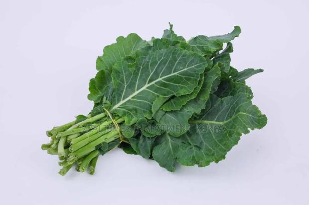Shamba Products - thumbnail 2