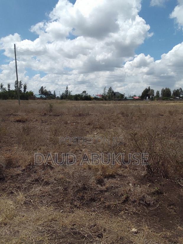50×100 Land in Joska Mutalia - main view