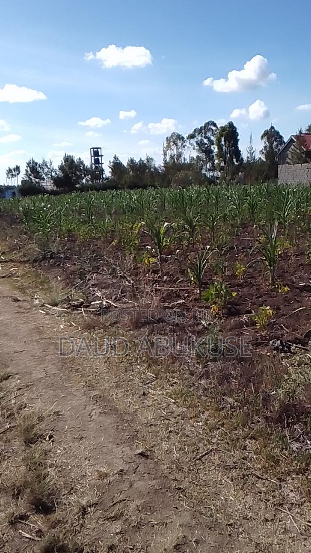 50×100 Land in Joska Mutalia - thumbnail 3