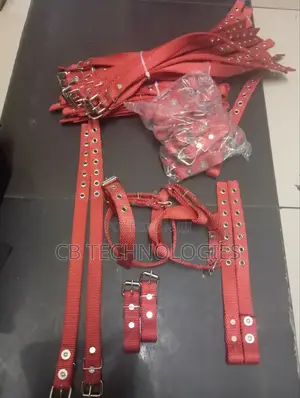 Heavy Climbers Straps