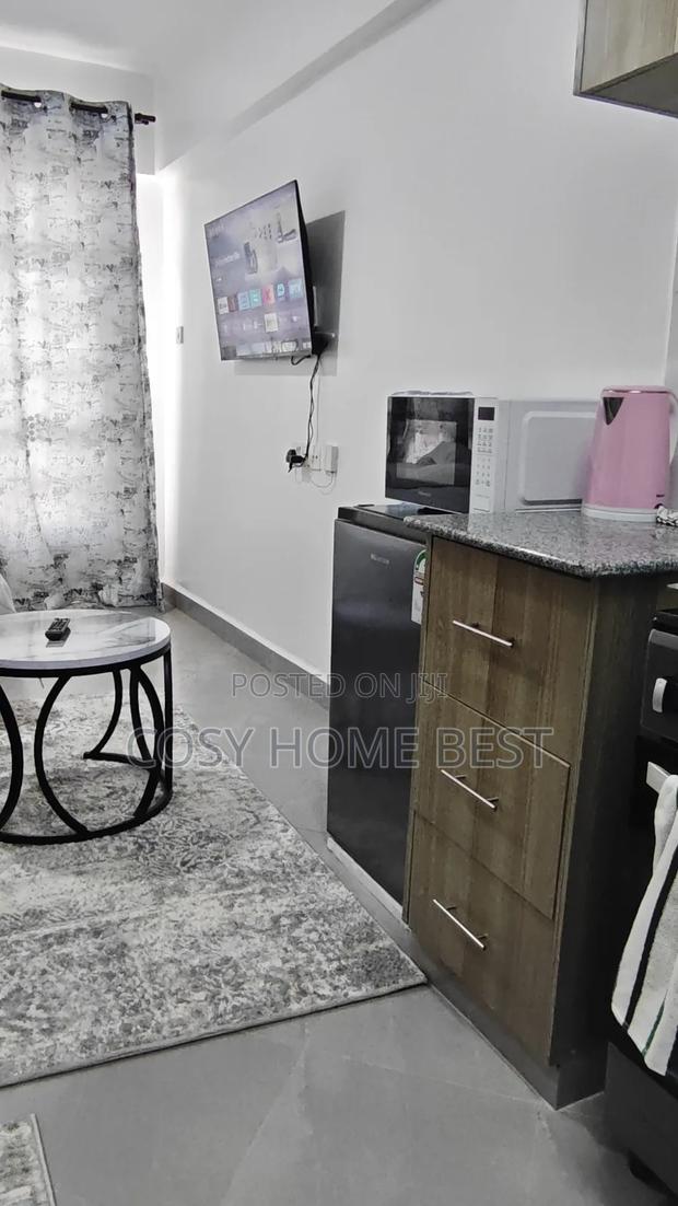 Furnished Premium Studio - thumbnail 11