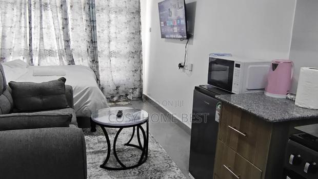 Furnished Premium Studio - thumbnail 12