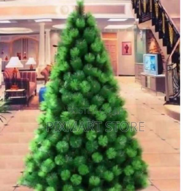Christmas Tree: Christmas Special – Pine Tree Offers - main view