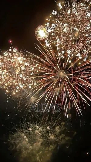 9 Shots Crime Scene Outdoor Fireworks