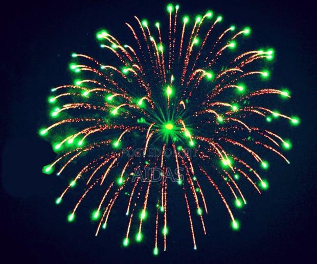  Mantis Fury – 47 Shots Fireworks  - thumbnail 2