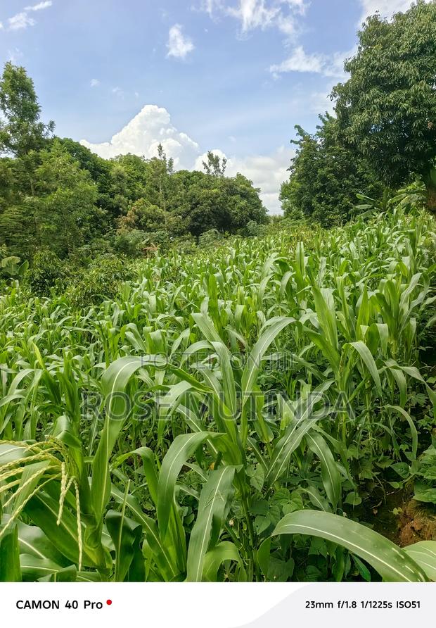 50 by 150 at Kathithyamaa - thumbnail 3