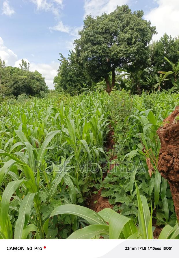 50 by 150 at Kathithyamaa - thumbnail 5