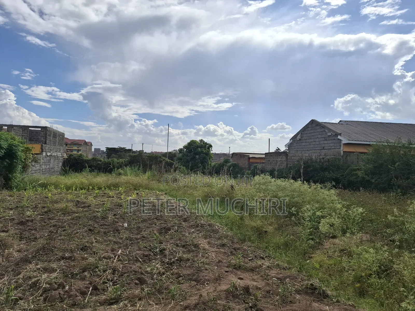 Quarter an Acre of Land