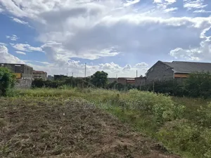 Quarter an Acre of Land