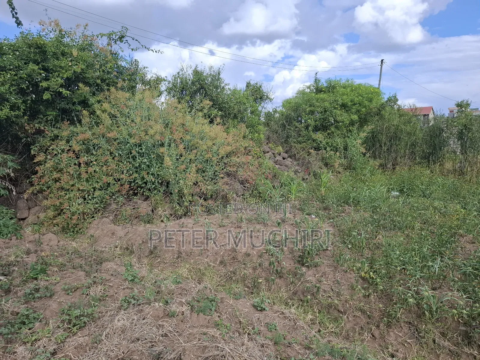 Quarter an Acre of Land