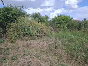 Quarter an Acre of Land