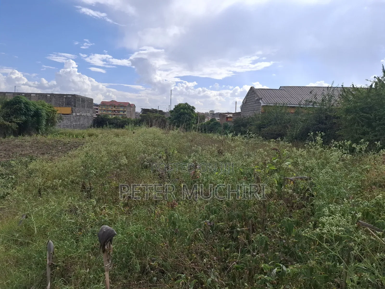 Quarter an Acre of Land