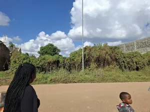 Quarter an Acre of Land