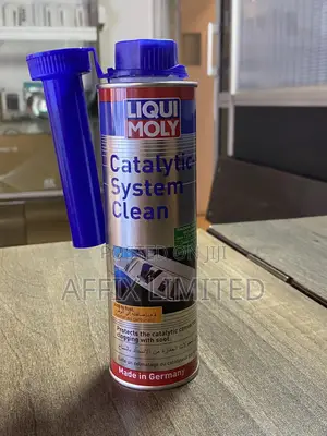 Catalytic System Clean