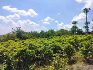 Half Acre in Gachoka, Embu. - thumbnail 2