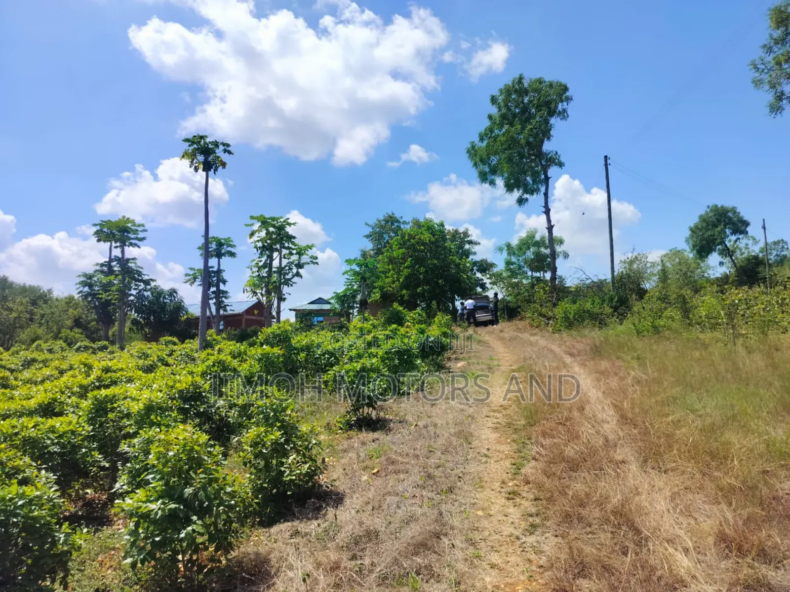 Half Acre in Gachoka, Embu.