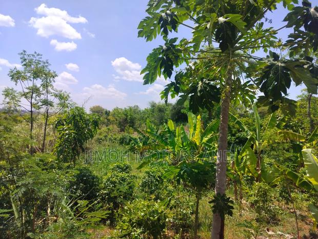 Half Acre in Gachoka, Embu. - thumbnail 5