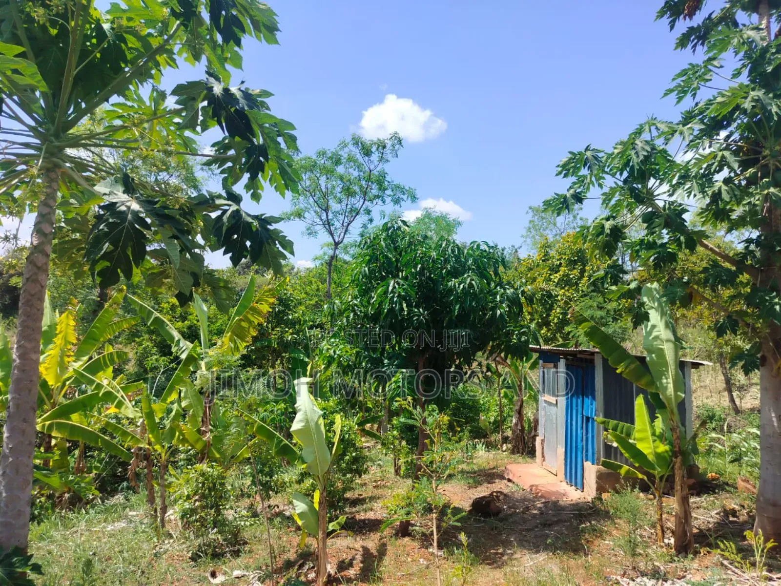 Half Acre in Gachoka, Embu.