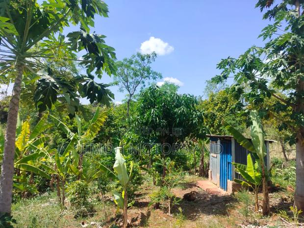 Half Acre in Gachoka, Embu. - thumbnail 10