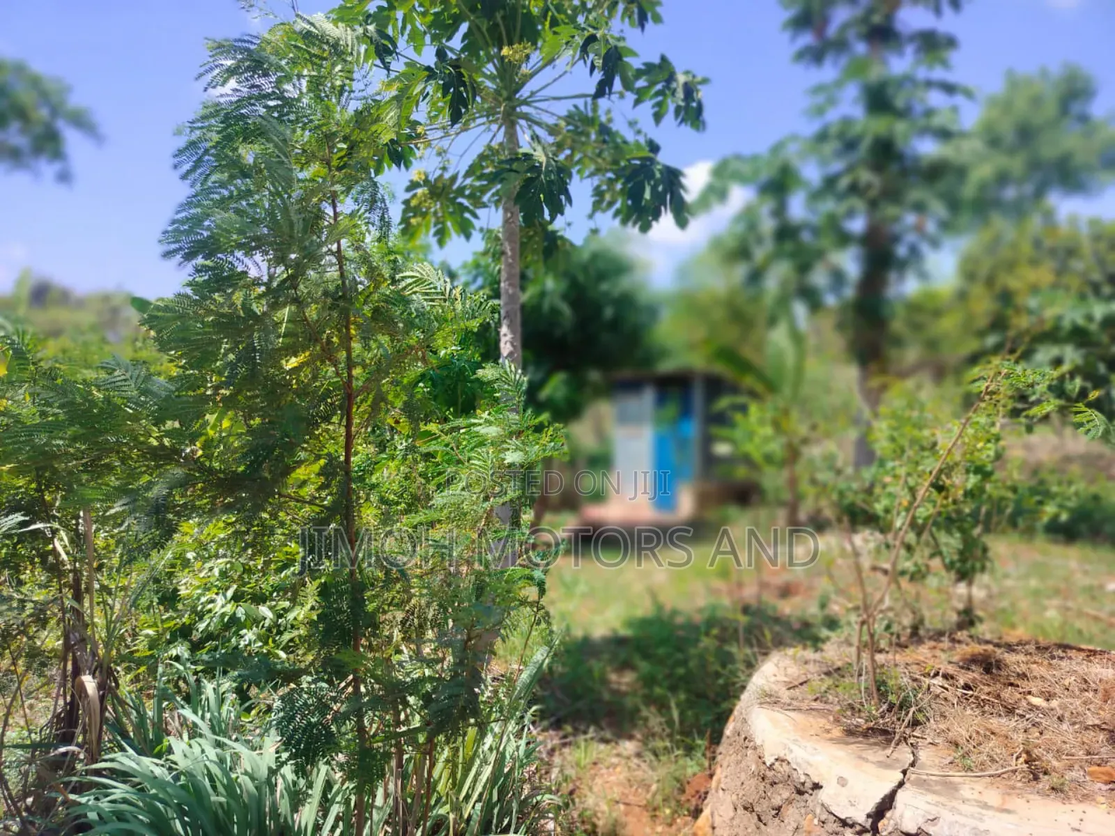 Half Acre in Gachoka, Embu.
