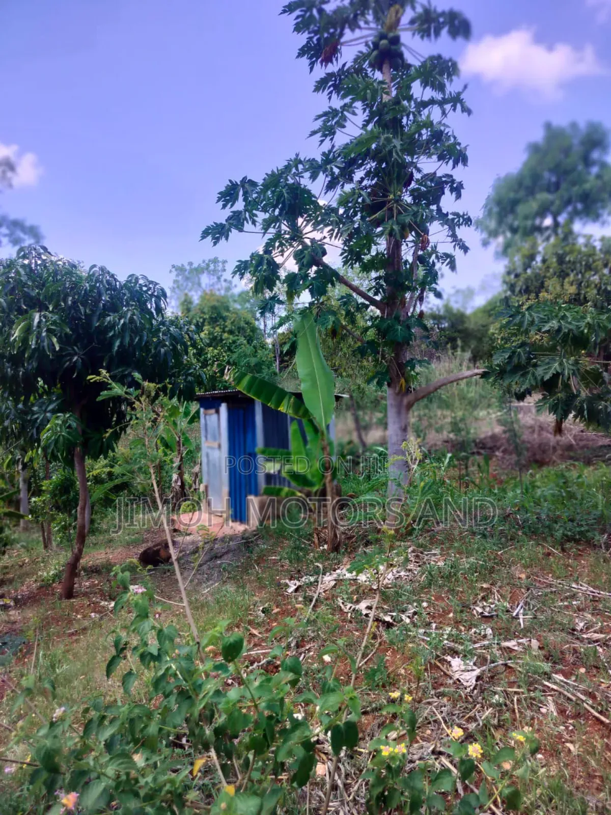 Half Acre in Gachoka, Embu.