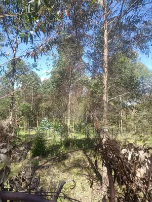3/4 and 2 Acre's for Sale in Kinangop Heni Area Near Kiyo Sec SCHL