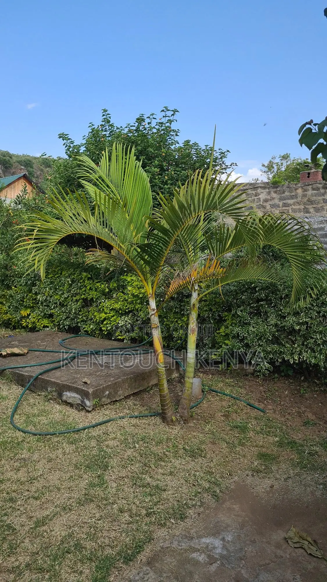 1 Acre Prime Land + 2 Bedroom Ensuite House For Sale Kikopey