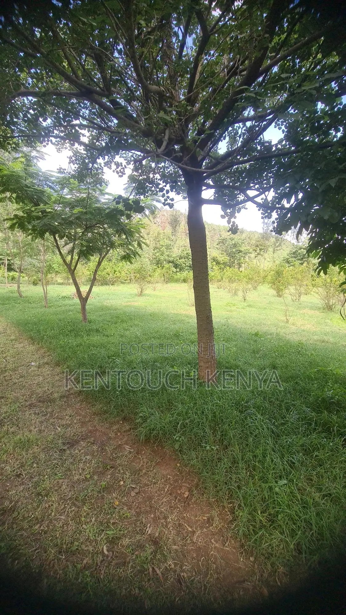1 Acre Prime Land + 2 Bedroom Ensuite House For Sale Kikopey