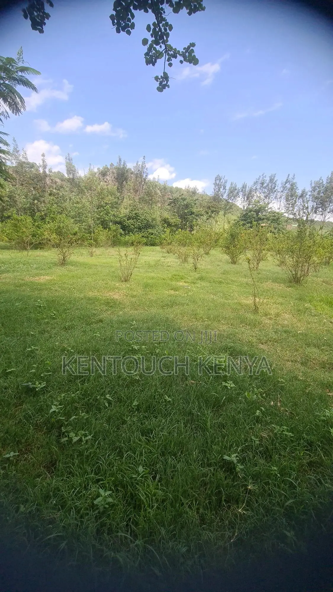 1 Acre Prime Land + 2 Bedroom Ensuite House For Sale Kikopey