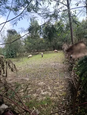 3/4 and 2 Acre's for Sale in Kinangop Heni Area Near Kiyo Sec SCHL