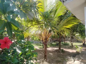 2bdrm Bungalow in Turtle Bay, Watamu for sale