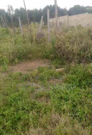An Eighth Plot for Sale in Naivasha in Kayole Area - thumbnail 2
