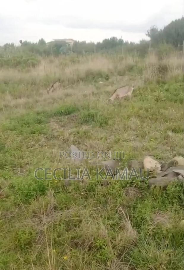 An Eighth Plot for Sale in Naivasha in Kayole Area - thumbnail 3
