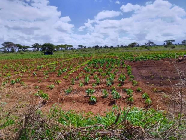 50+ Acre Land for Sale in Kimana