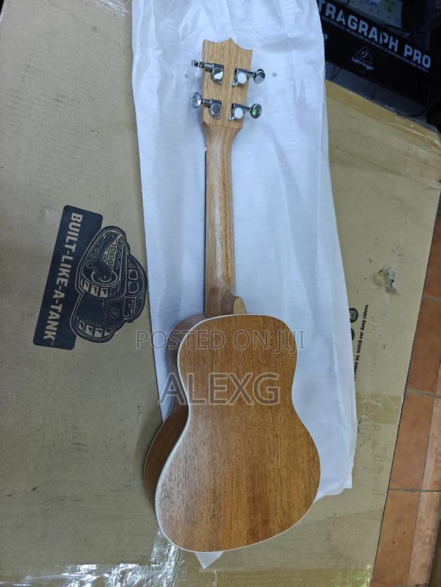 Fender Ukulele - main view