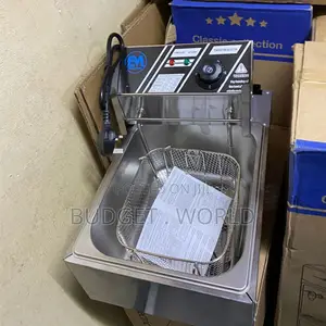 Stylish Design Stainless Steel Home Use 6l Single Electric Deep Fryer